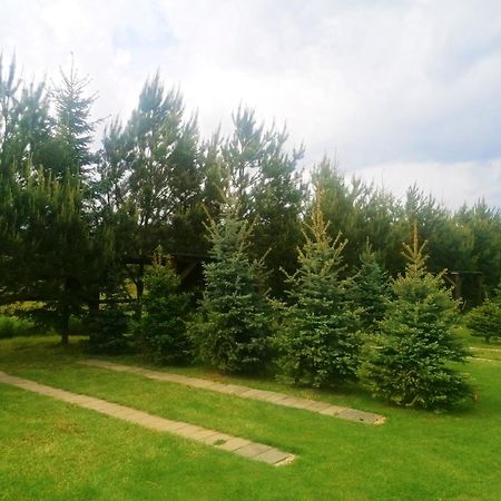فندق Camp Pacho بريفيدزا المظهر الخارجي الصورة