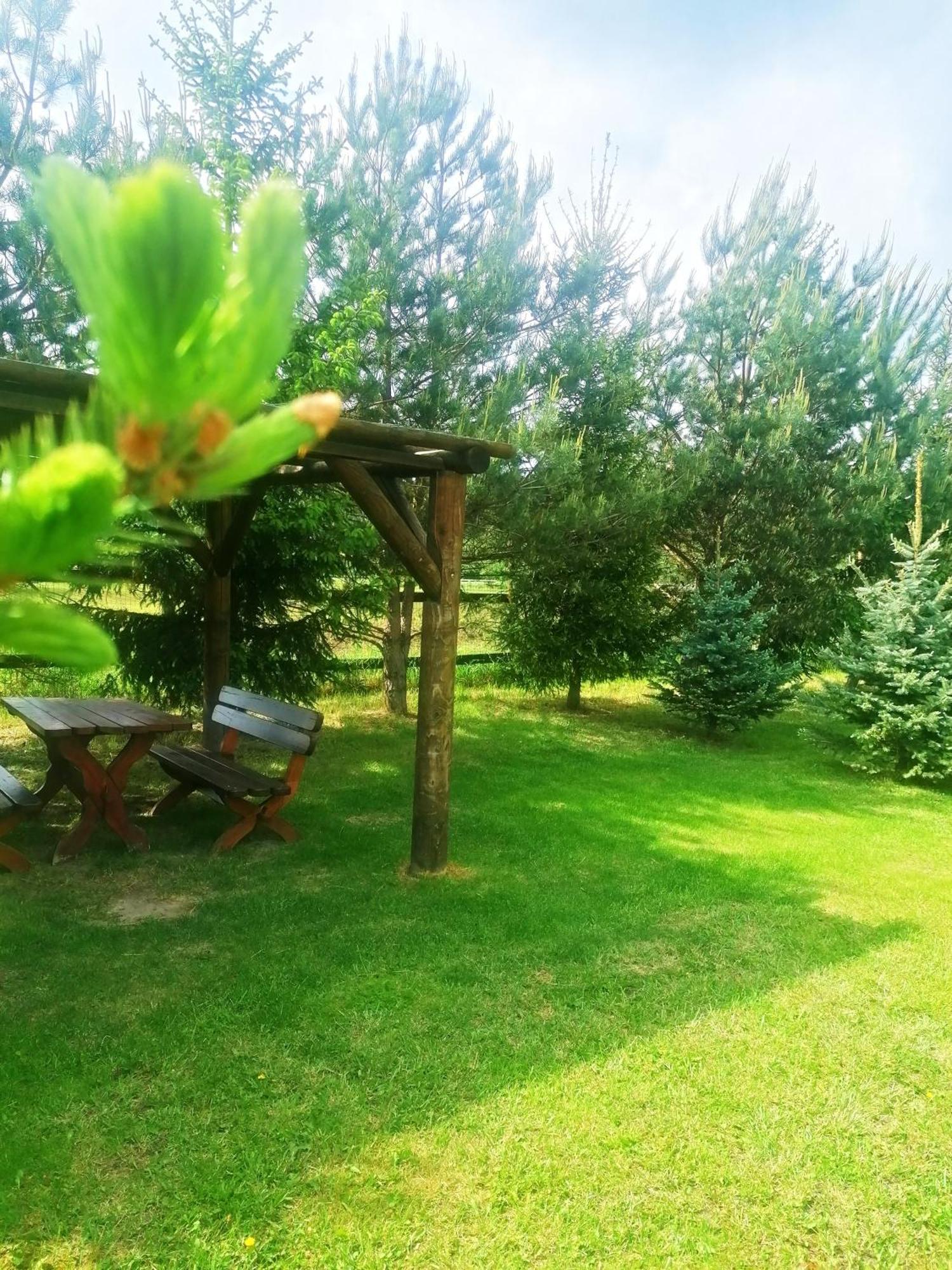 فندق Camp Pacho بريفيدزا المظهر الخارجي الصورة